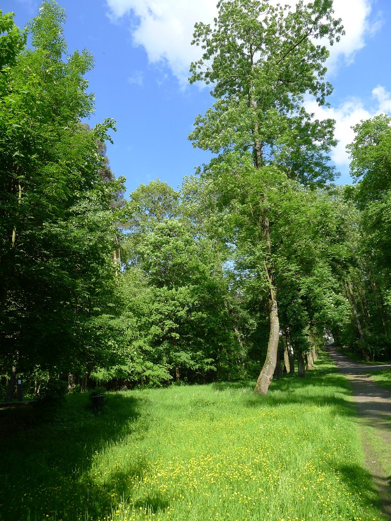 PavlaCzechVisit 292
